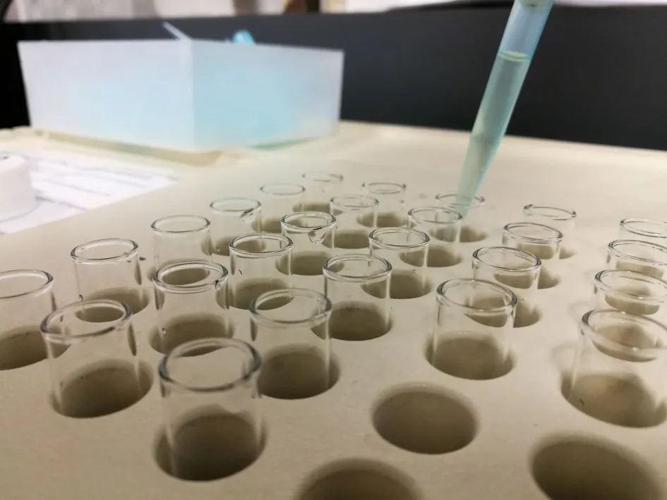 Laboratorio_2025 (2)