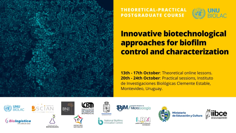 Innovative biotechnological approaches horizontal