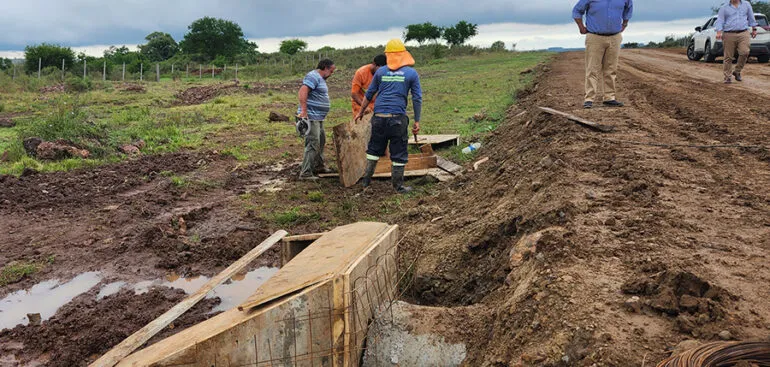 camino-gallinal2-770x367