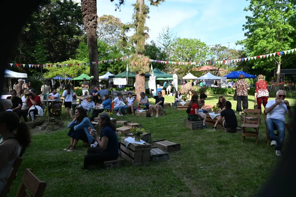 WhatsApp Image 2025-11-01 at 17.04.20 (1)