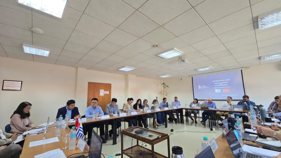 WhatsApp Image 2025-11-03 at 11.12.40 AM