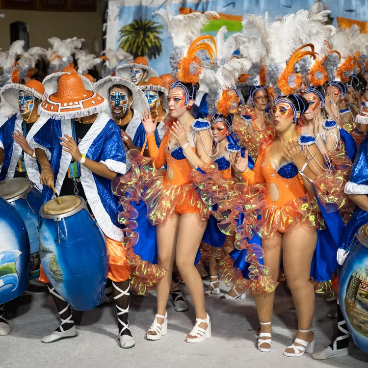 20260207dicimouyjmr8470