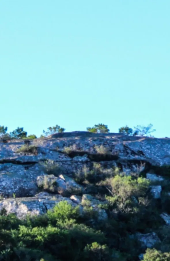 Screenshot_20250103_122246