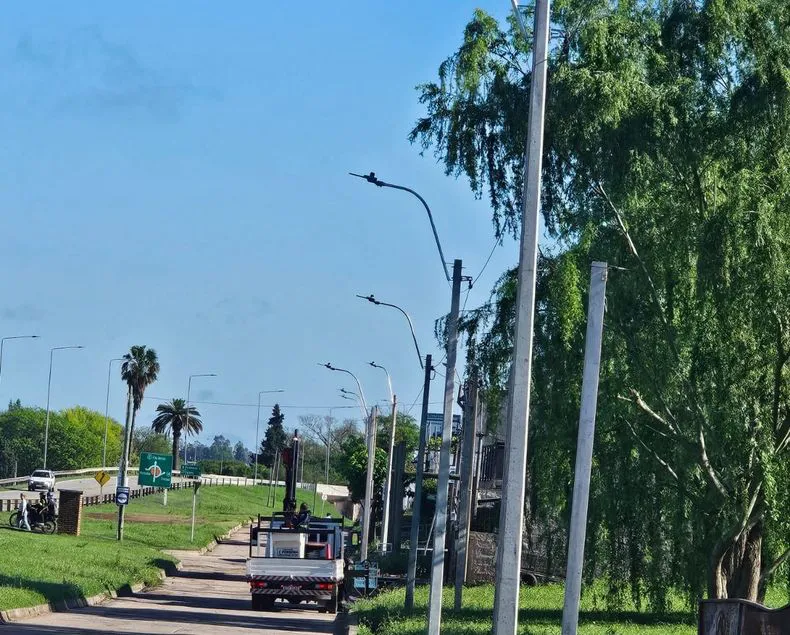 imagen_2024-10-2523_02_54jpg