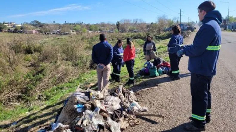 823e97b3284be78bce4ef61a3c056127_ljpg