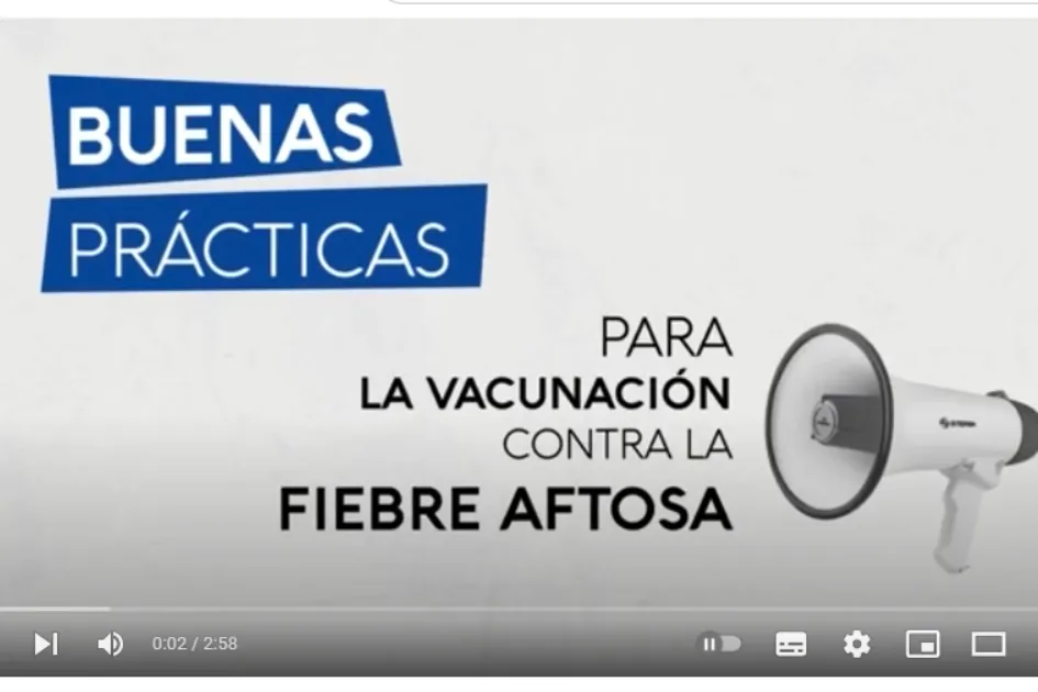 noticias (16)
