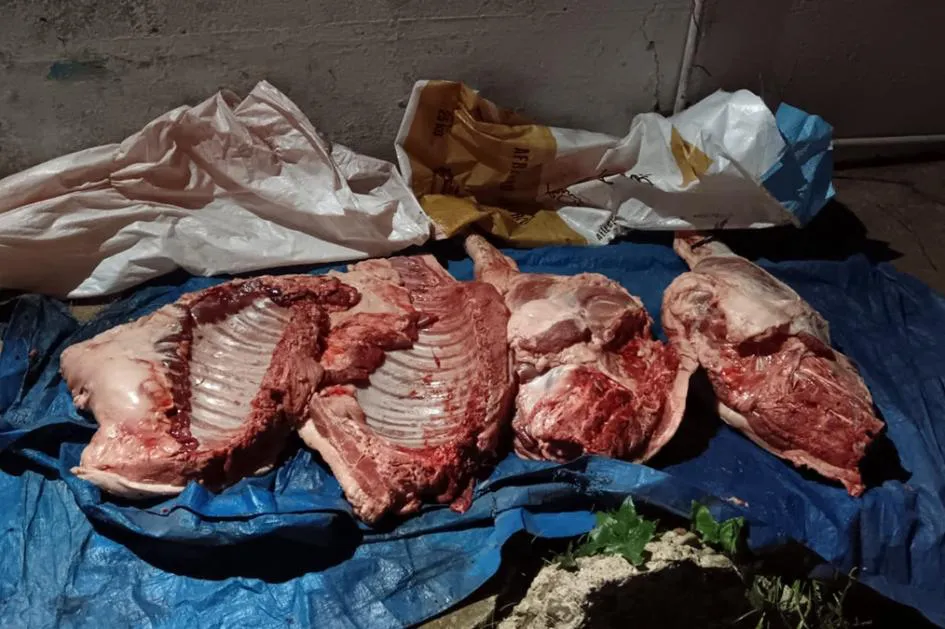 Carne incautada por la policía