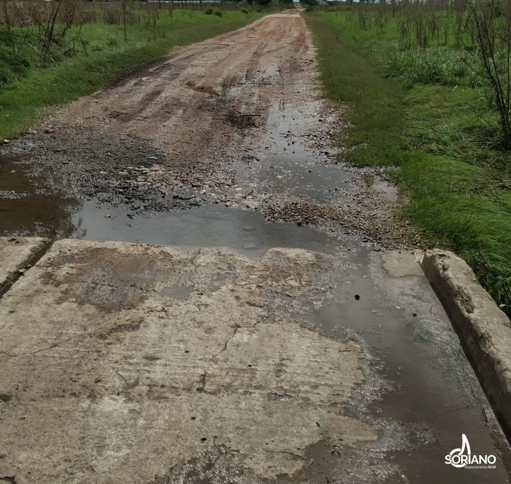 imagen_2024-04-2311_43_14