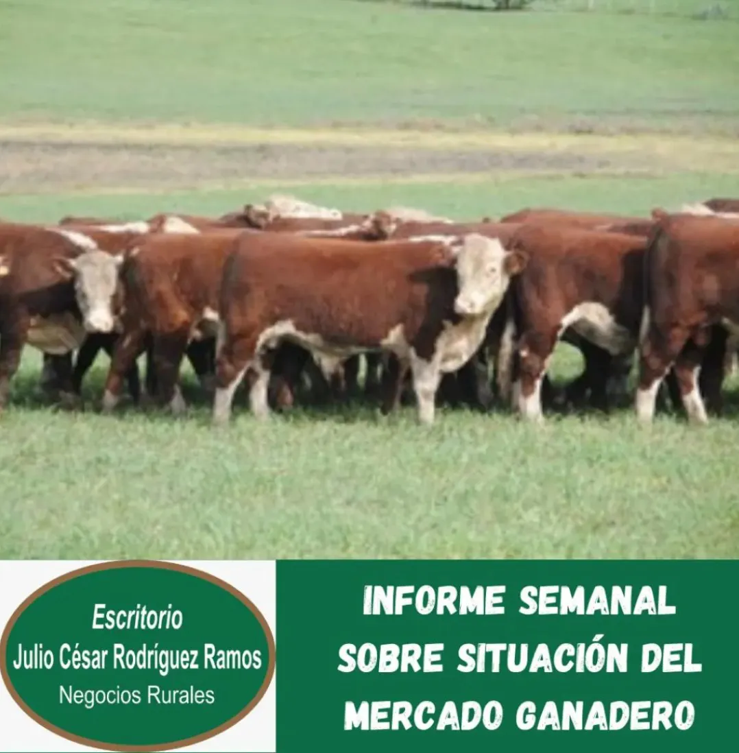 Screenshot_20251029_175339