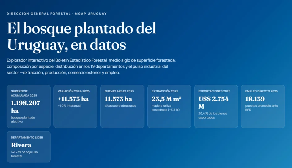 Sin título-1