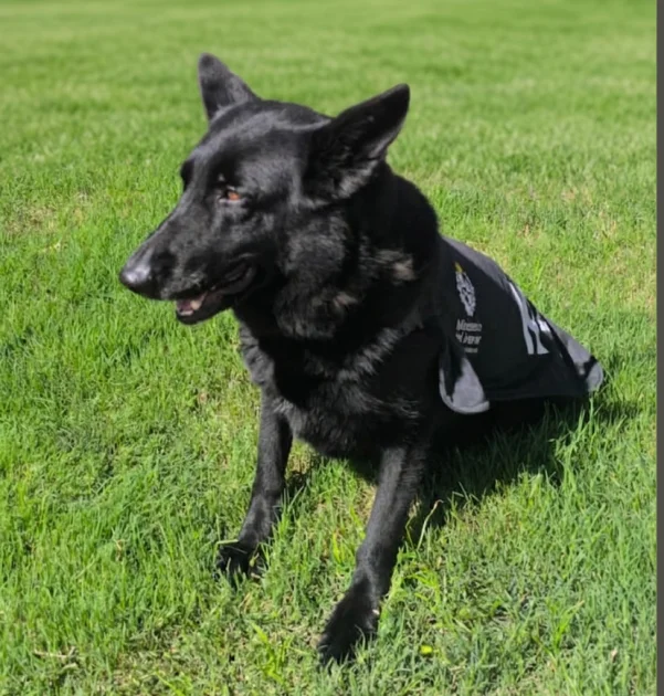 Captura de pantalla -2026-04-01 14-13-32-1