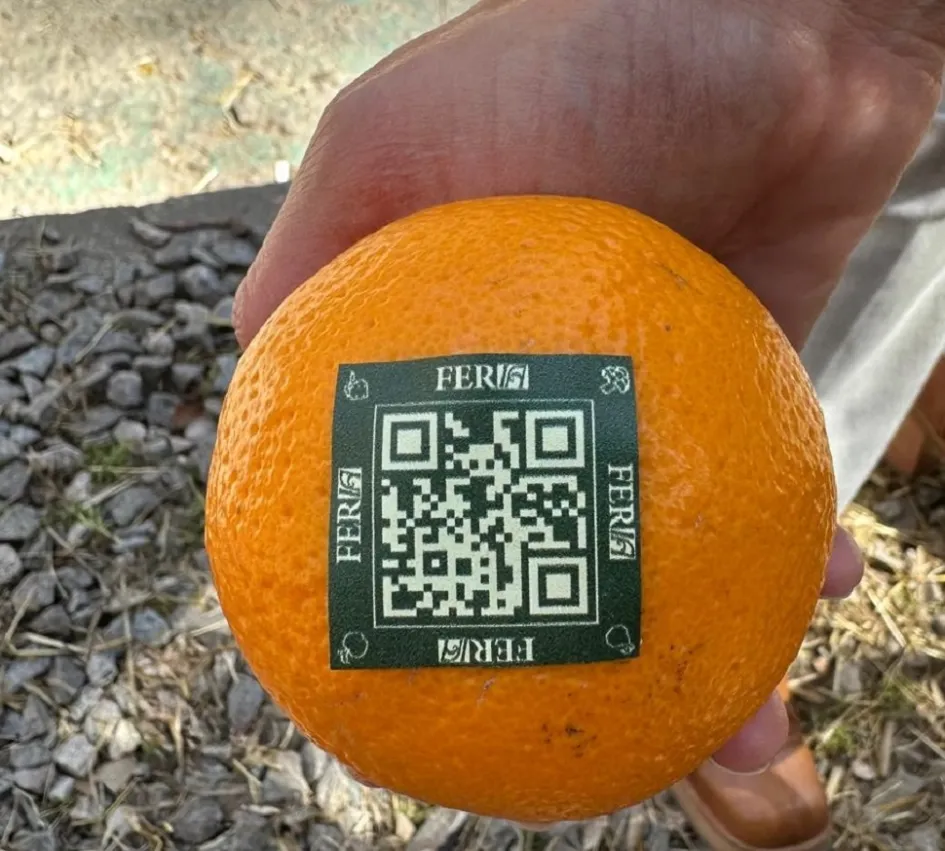 código QR