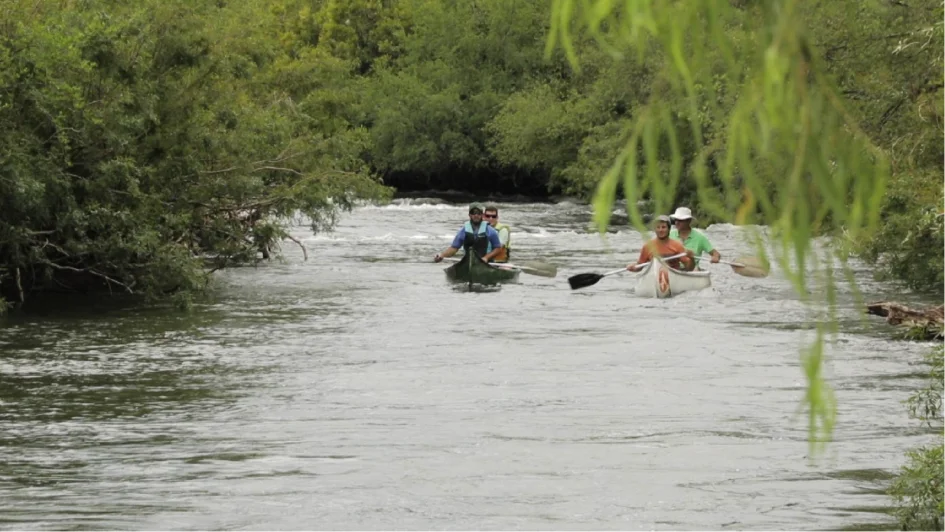 WhatsApp Image 2026-03-27 at 10.59.35 AM