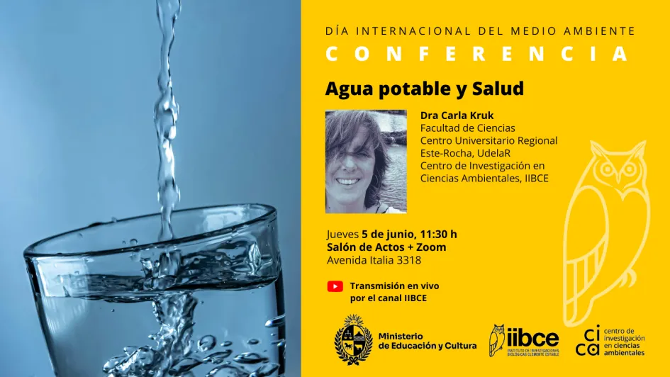 Afiche dia del medio ambiente 2025 2 X_0-1
