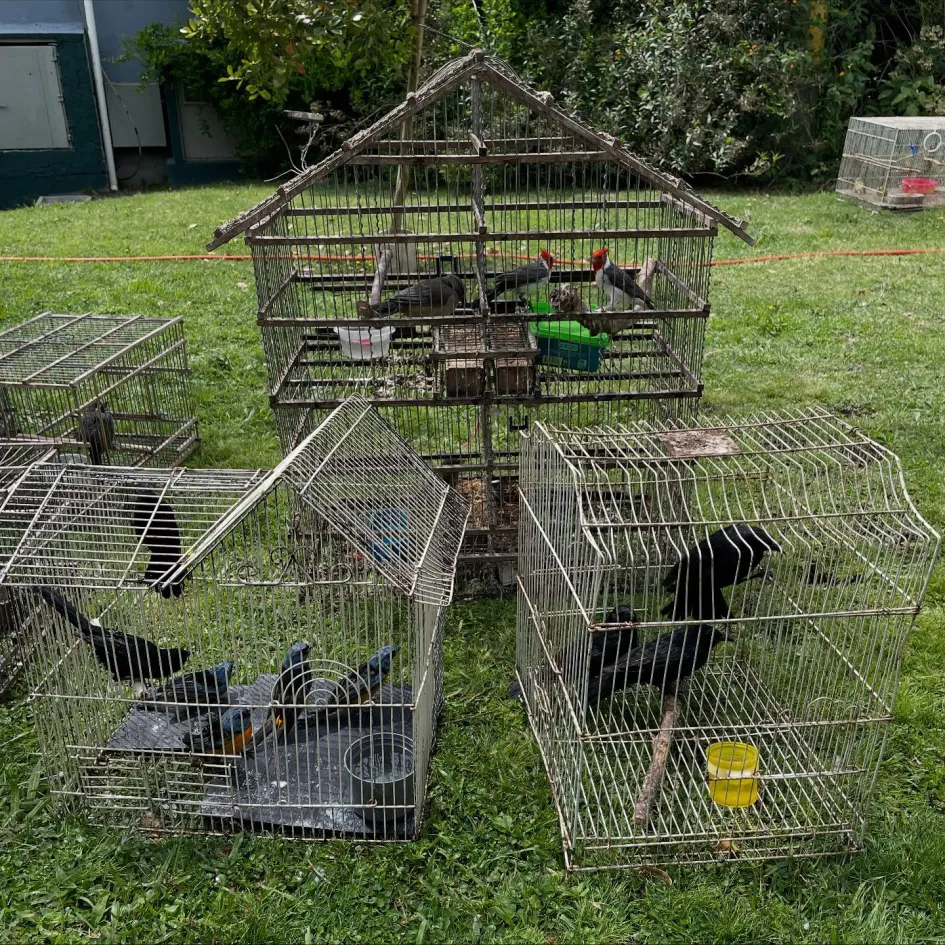 573230989_18143364412440447_7787516122164036587_n