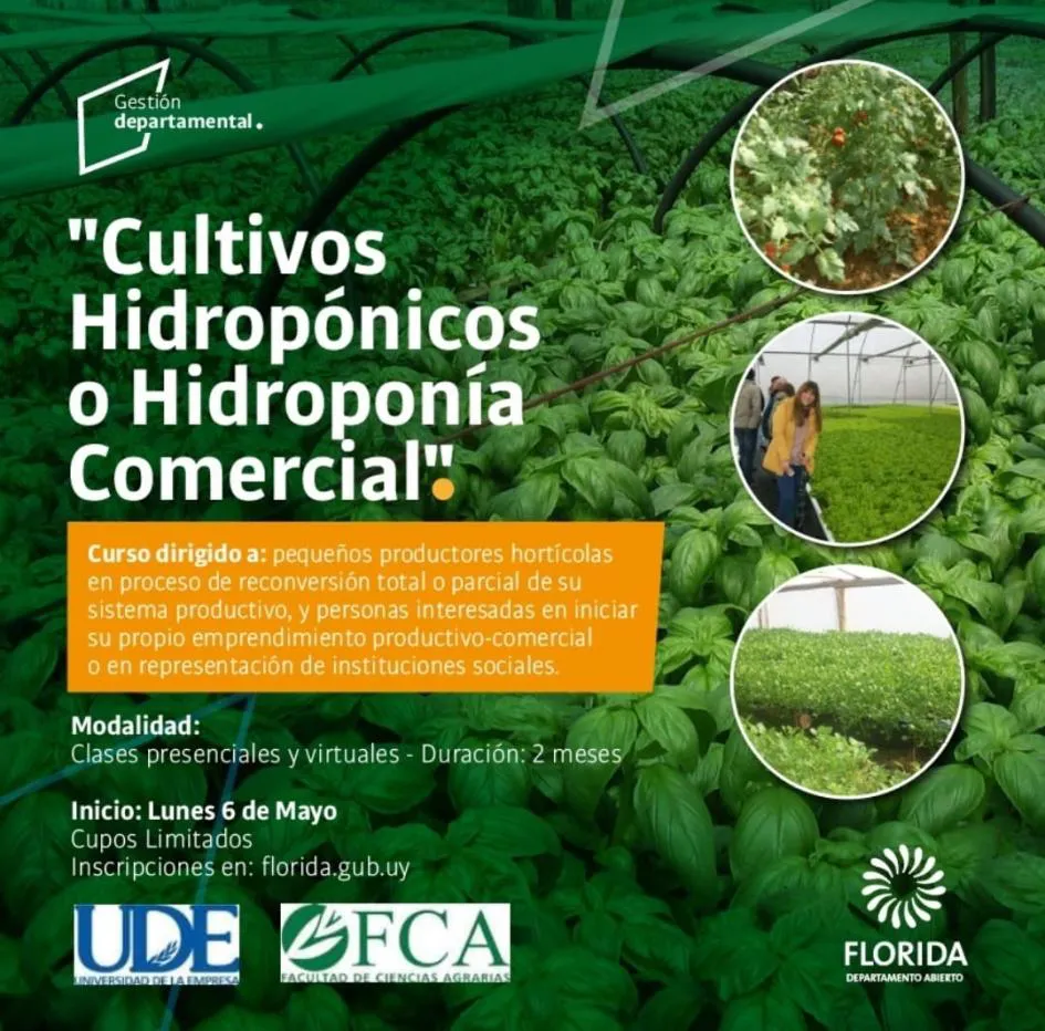 WhatsApp Image 2024-04-29 at 14.04.41