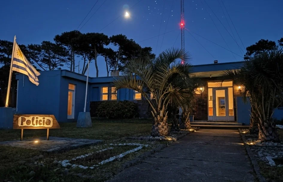 paloma noche