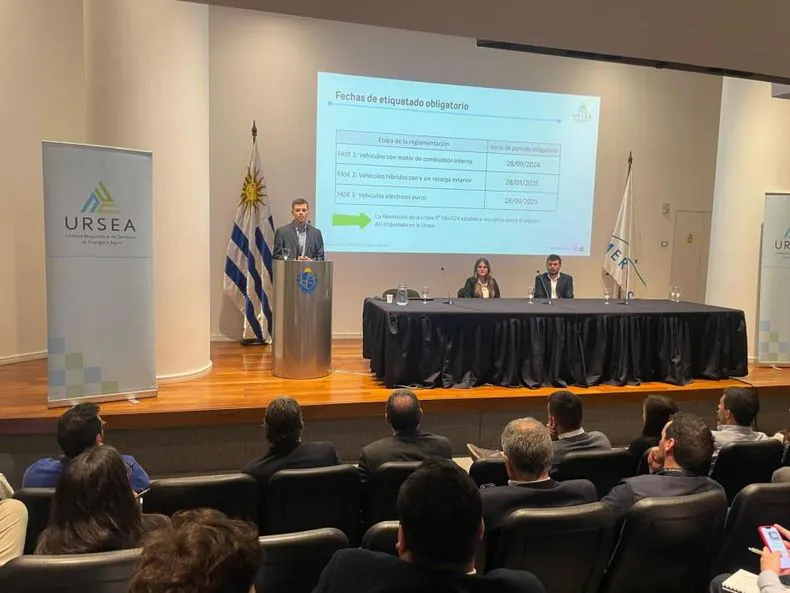 whatsapp-image-2024-10-24-at-114159-am-8jpeg