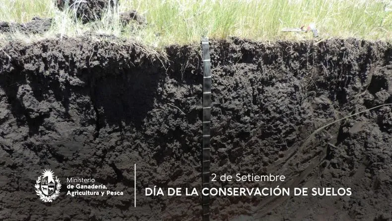 dia-foto-2-setiembrejpg