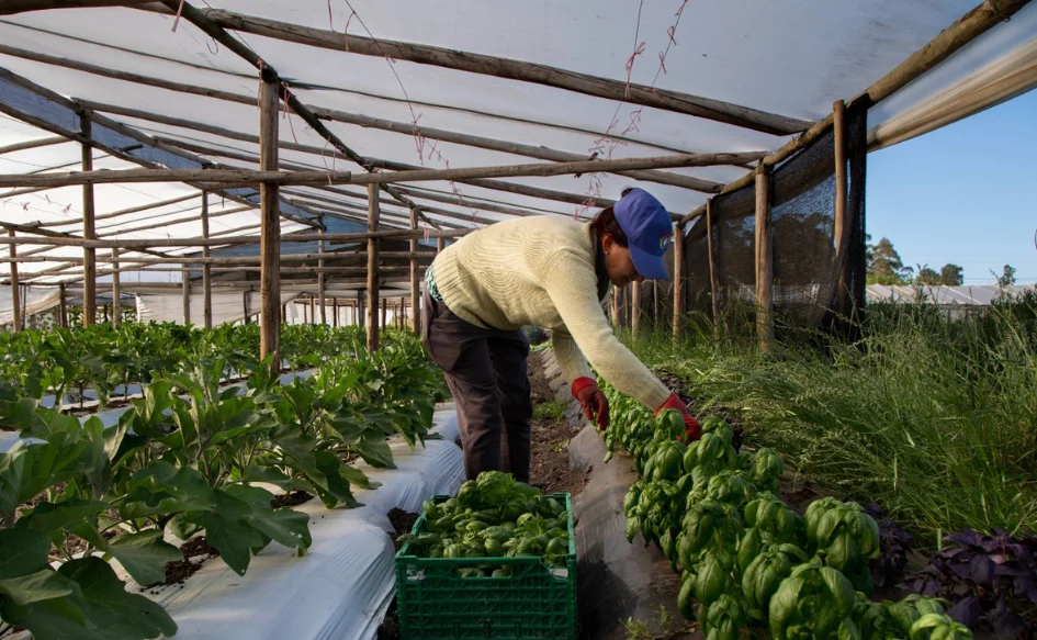 Portadas Gubuy (12)_2