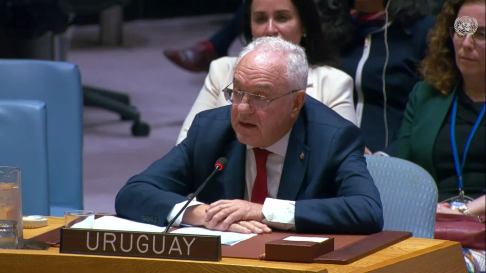 Lubetkin en Consejo de Seguridad ONU NYC_0