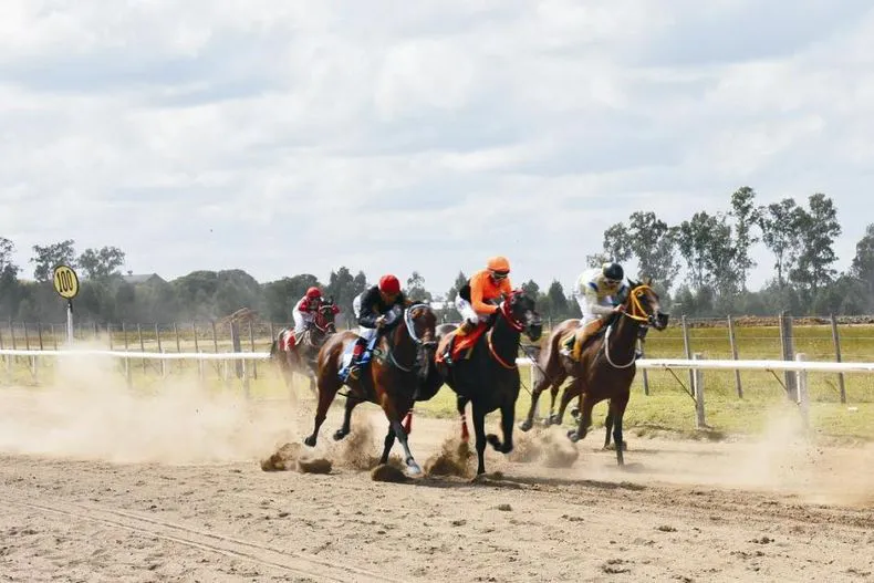 hipodromo_0_0_0jpg