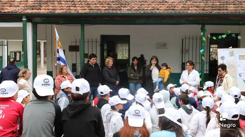 plantacion-escuela-3jpg
