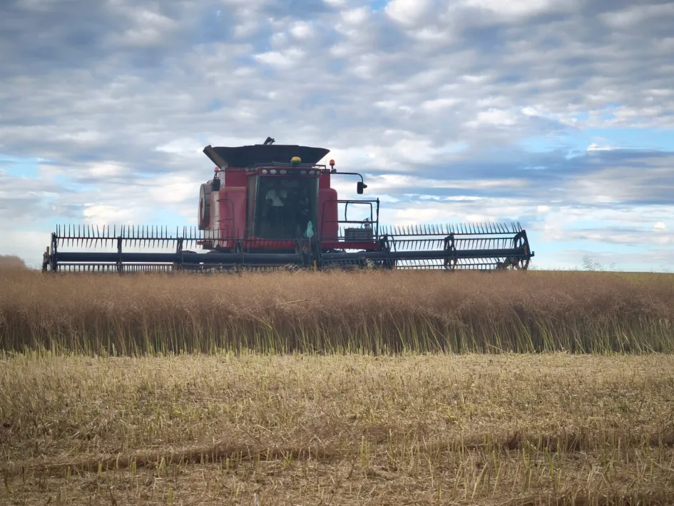 WhatsApp Image 2025-11-07 at 10.02.03